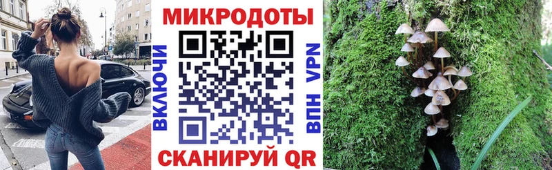 Псилоцибиновые грибы прущие грибы  МЕГА ссылка  Бирюч 